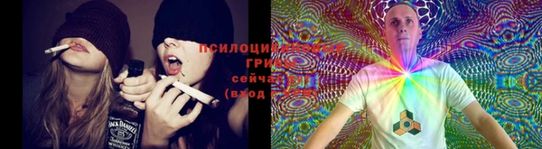 герыч Елабуга